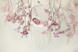 Lieblingsbild Babyfoto Graz Leana 1