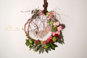 Lieblingsbild Babyfotos Graz newbornshooting Pia composing